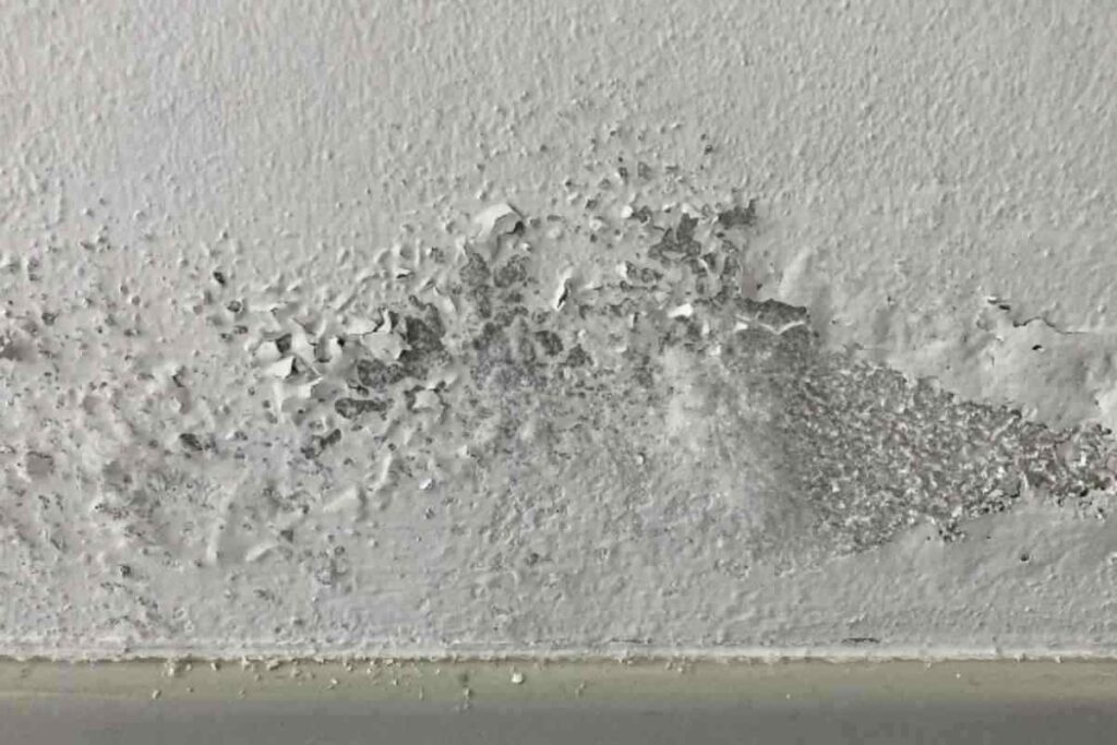 Le precipitazioni più frequenti, la riduzione delle ore di luce e il naturale rifugio nelle abitazioni con finestre spesso chiuse favoriscono la formazione