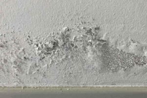 Le precipitazioni più frequenti, la riduzione delle ore di luce e il naturale rifugio nelle abitazioni con finestre spesso chiuse favoriscono la formazione