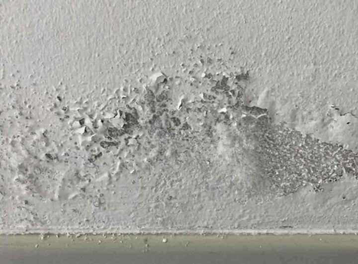 Le precipitazioni più frequenti, la riduzione delle ore di luce e il naturale rifugio nelle abitazioni con finestre spesso chiuse favoriscono la formazione