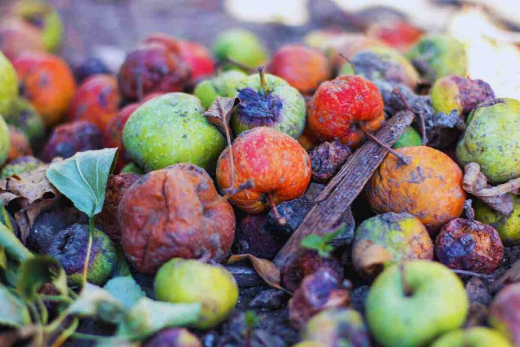 Perchè la frutta marcisce e come evitarlo