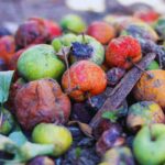 Perchè la frutta marcisce e come evitarlo