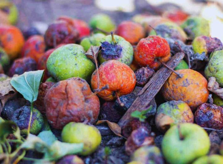 Perchè la frutta marcisce e come evitarlo
