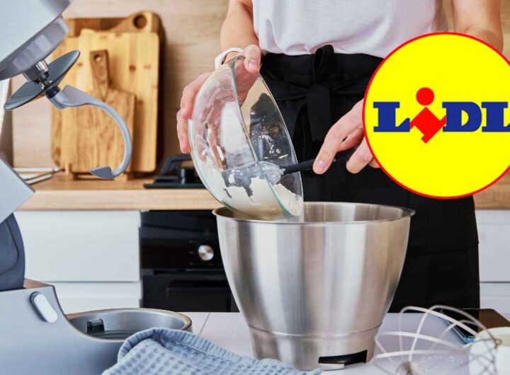lidl planetaria multifunzione dotata di frullatore e tagliaverdure
