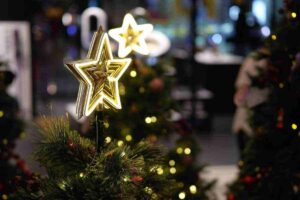 Stella di Natale, se si rompe un rametto non devi buttarlo, tutti i dettagli