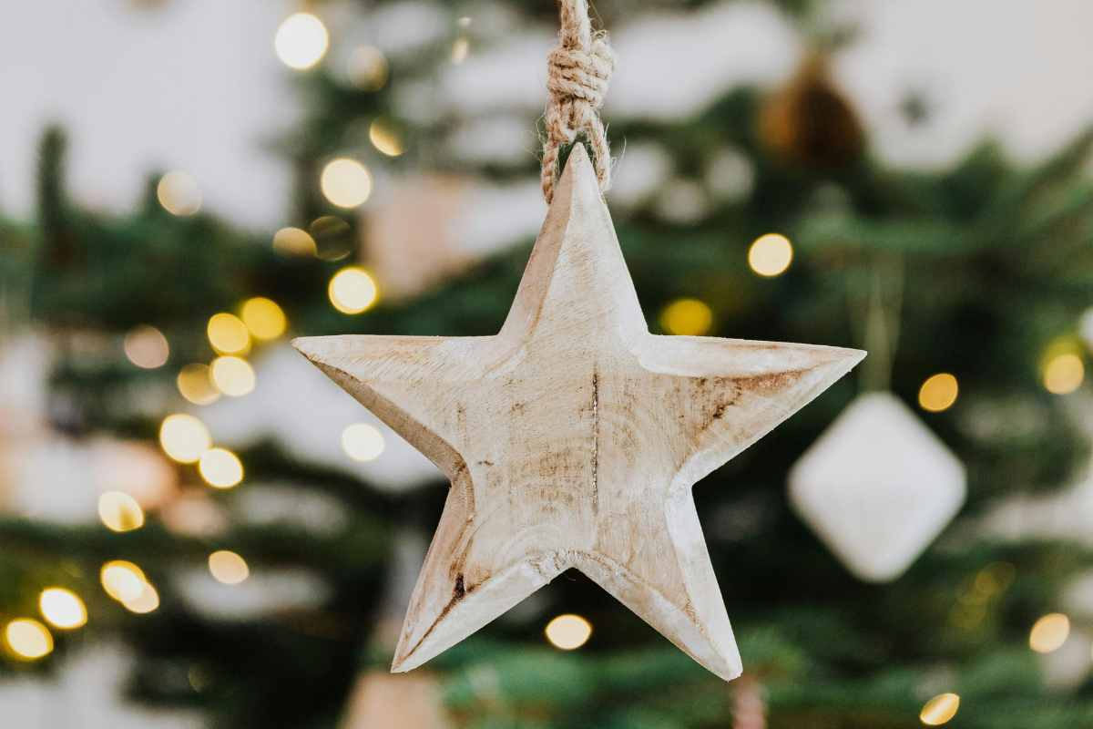 Stella di Natale, se si rompe un rametto non devi buttarlo